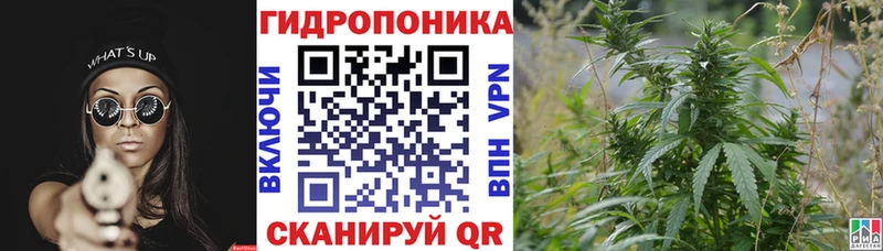 Купить наркоту Кодинск МАРИХУАНА КОКАИН ГАШ