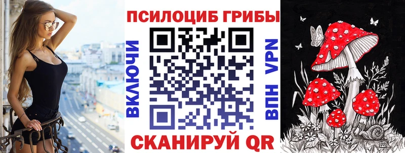 Галлюциногенные грибы мицелий  Кодинск 